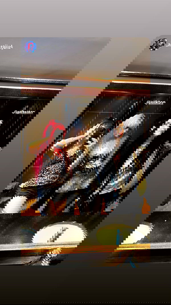 silkton image ~ Altpins