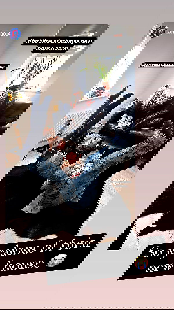 silkton image ~ Altpins