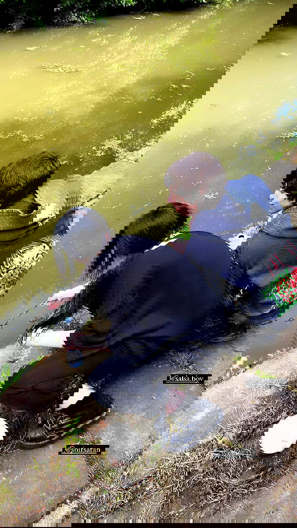 silkton image ~ Altpins