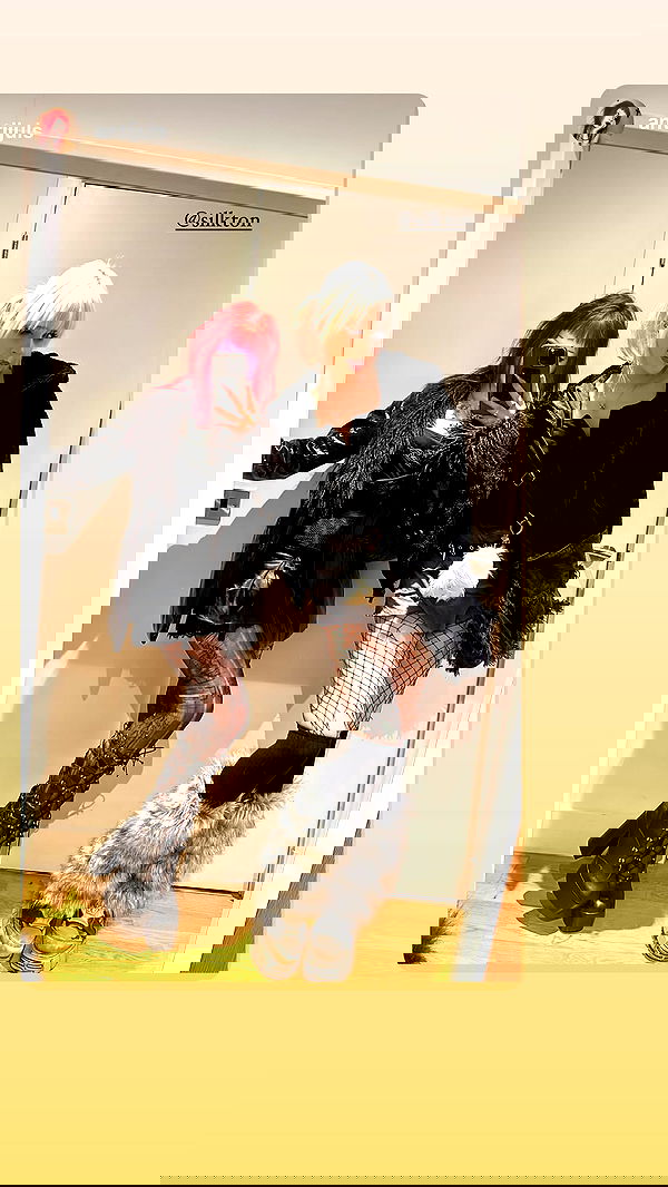 silkton image ~ Altpins