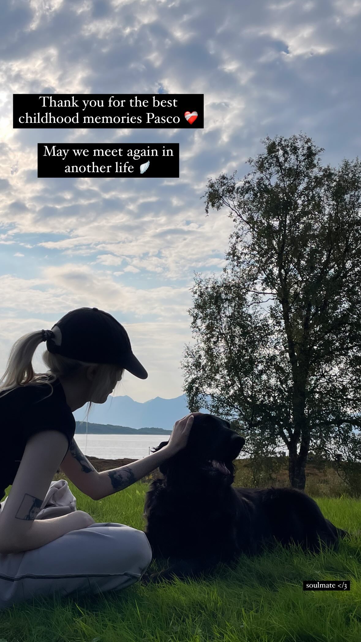 silkton instagram image archive image