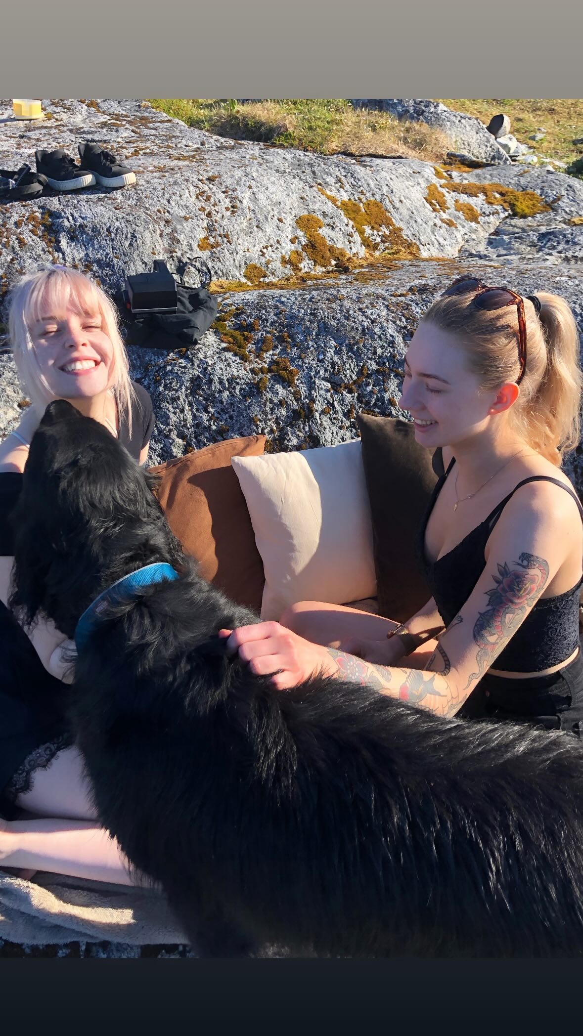 silkton instagram image archive image