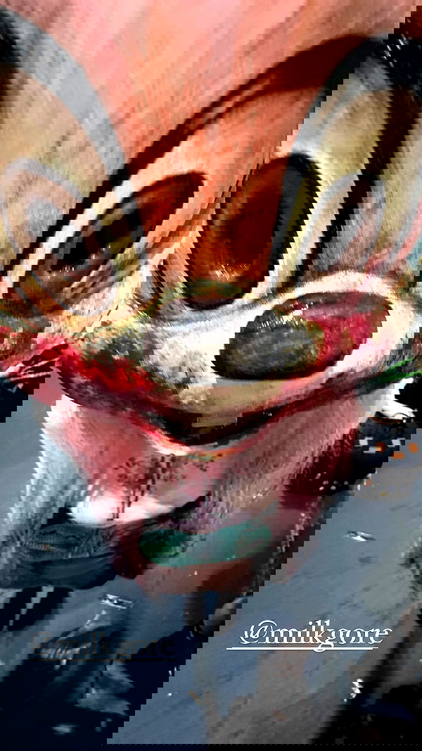 silkton image ~ Altpins