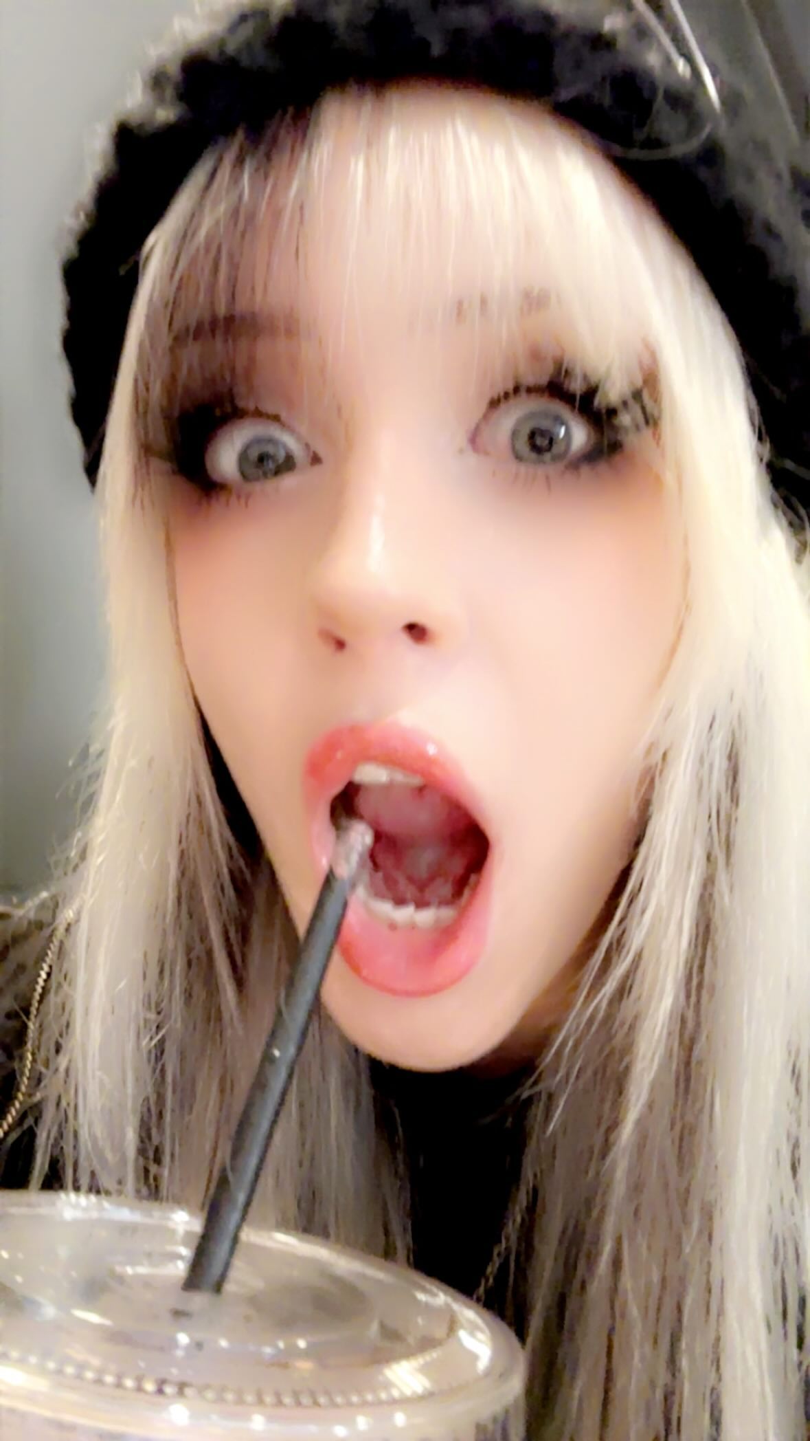 silkton instagram image archive image