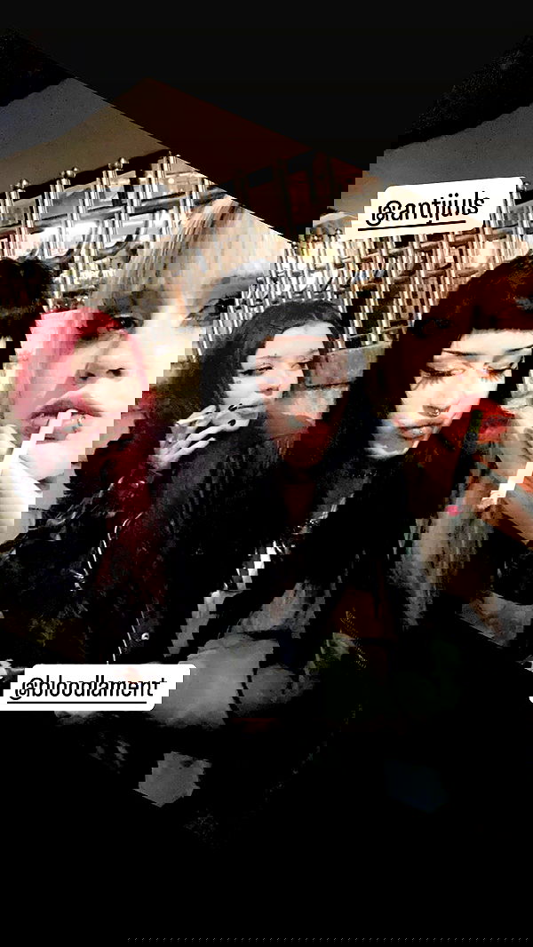 silkton image ~ Altpins