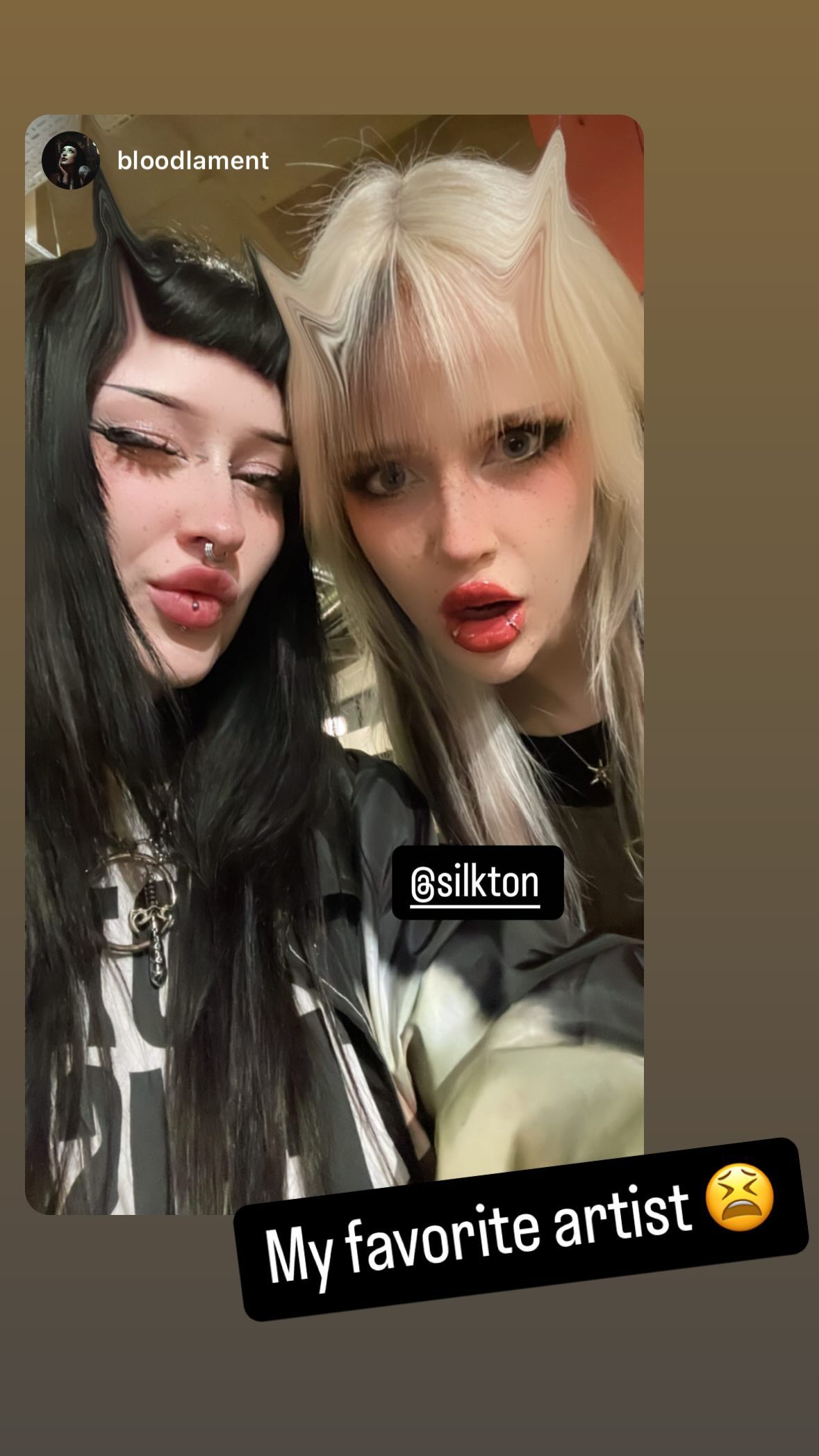 silkton instagram image archive image