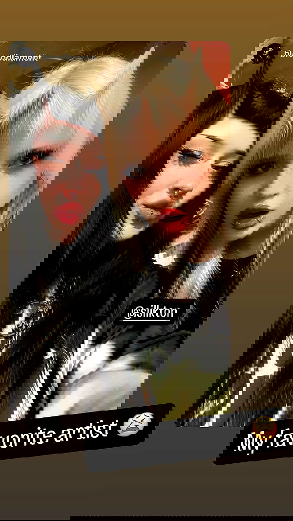 silkton image ~ Altpins