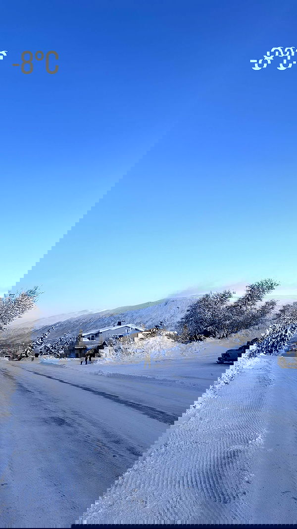 silkton image ~ Altpins