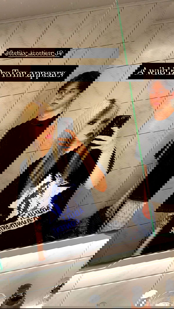 silkton image ~ Altpins