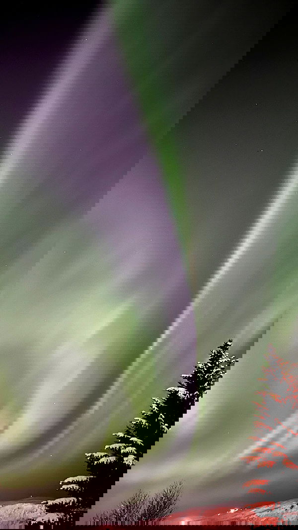 silkton image ~ Altpins