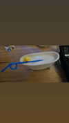 skyxbugg Altpins Profile Picture
