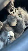 skyyy_babyyy3 Altpins Profile Picture