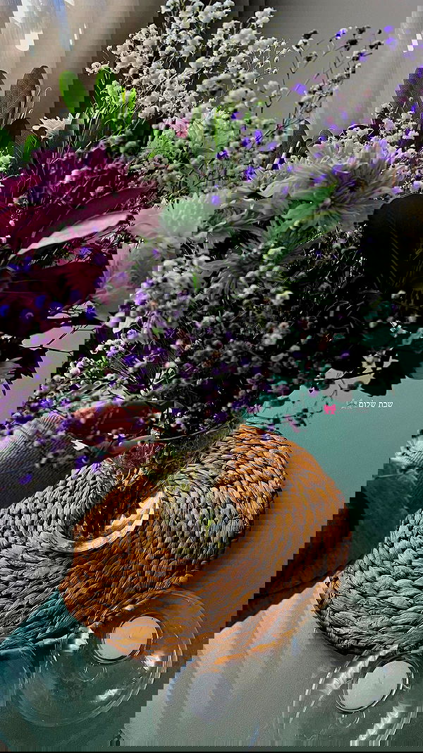 sofiagildin sofiagildin archive image