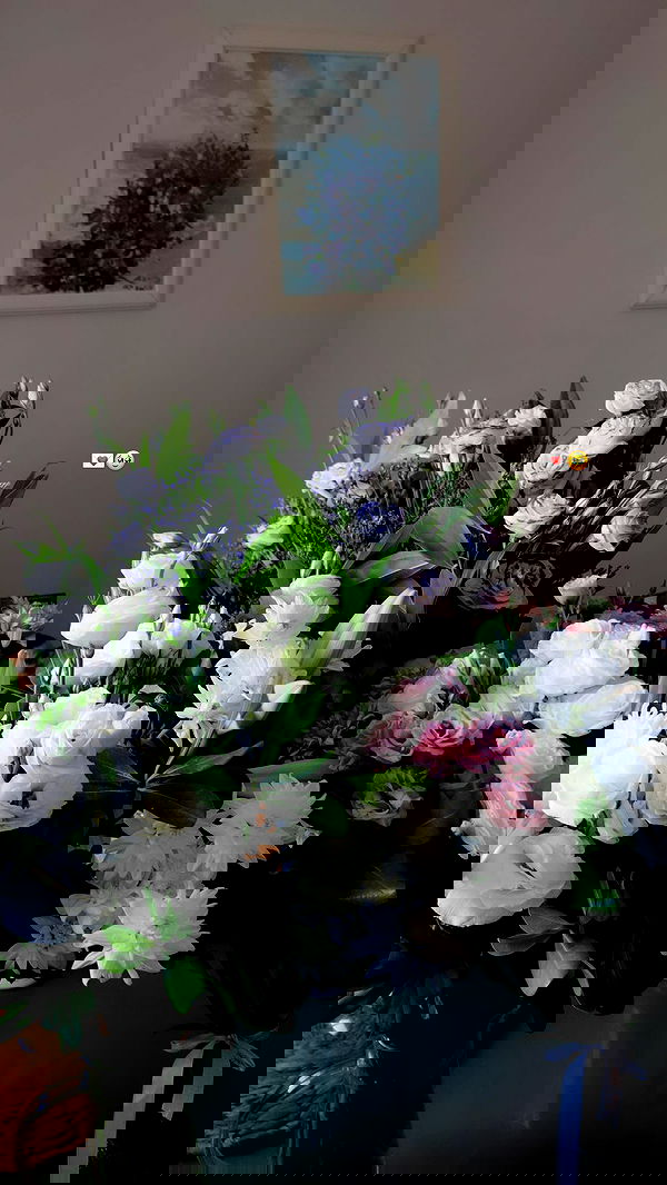 sofiagildin sofiagildin archive image