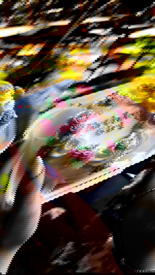 sofiagildin sofiagildin archive image