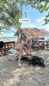sofiya.pl Altpins Profile Picture