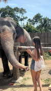 sofiya.pl Altpins Profile Picture
