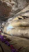 sophia.zadvor Altpins Profile Picture