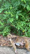 sophia.zadvor Altpins Profile Picture