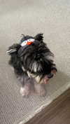 sophia.zadvor Altpins Profile Picture