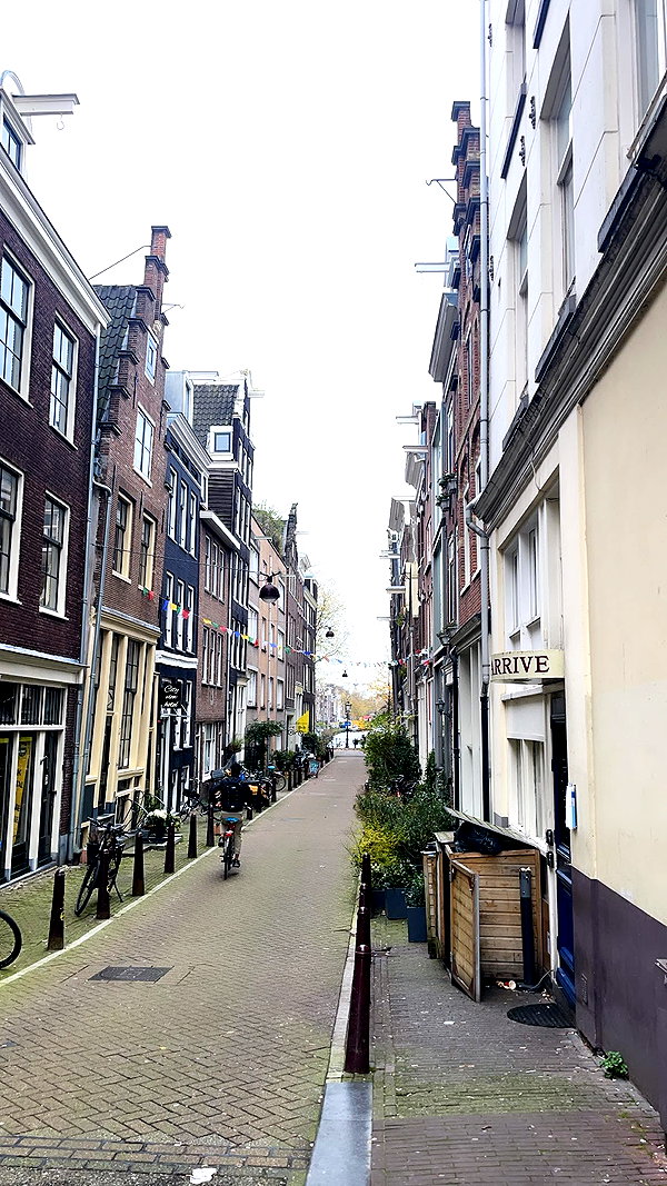 sophielaurenxxo instagram image archive image