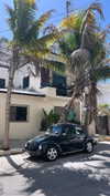 sophielaurenxxo Altpins Profile Picture