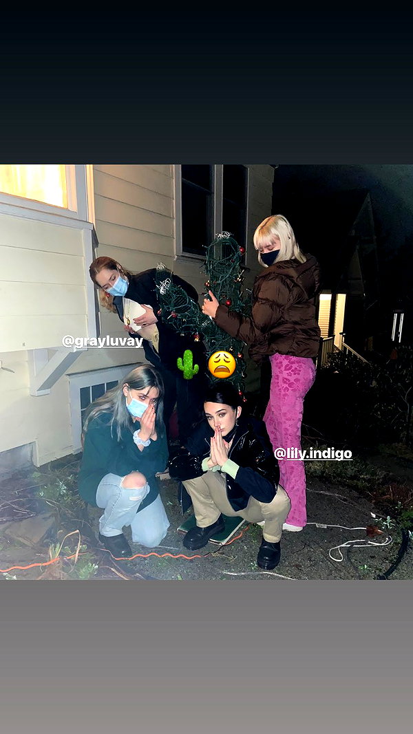 sorryiatetheapple instagram image archive image