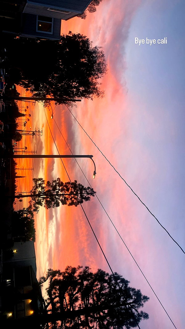 sorryiatetheapple instagram image archive image