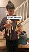 sorryiatetheapple Altpins Profile Picture
