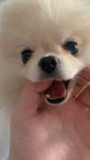 soundsfunny21 Altpins Profile Picture