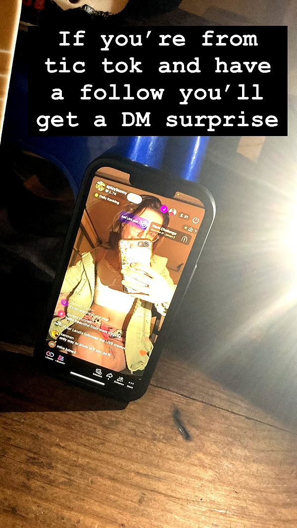 spicybunyyy_ spicybunyyy_ archive image