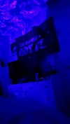 sserenasumss Altpins Profile Picture
