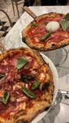 ssophiewalshh Altpins Profile Picture