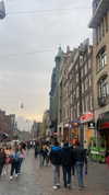 ssophiewalshh Altpins Profile Picture