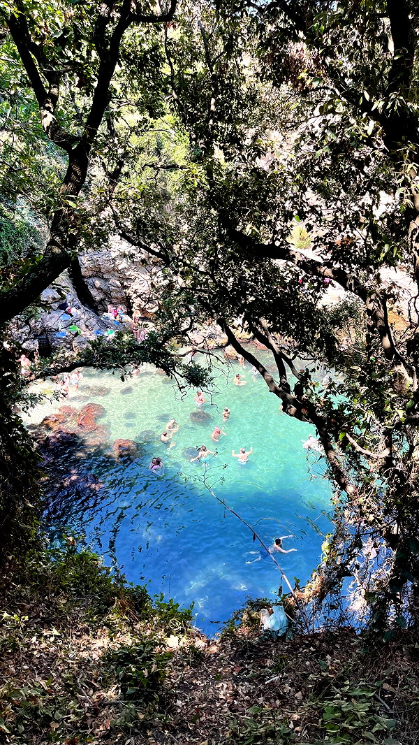ssophiewalshh instagram image archive image