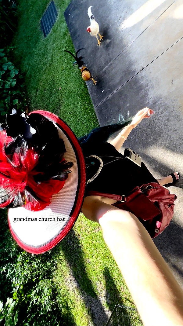 stateofrachel instagram image archive image
