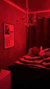 stine_stromskag Altpins Profile Picture