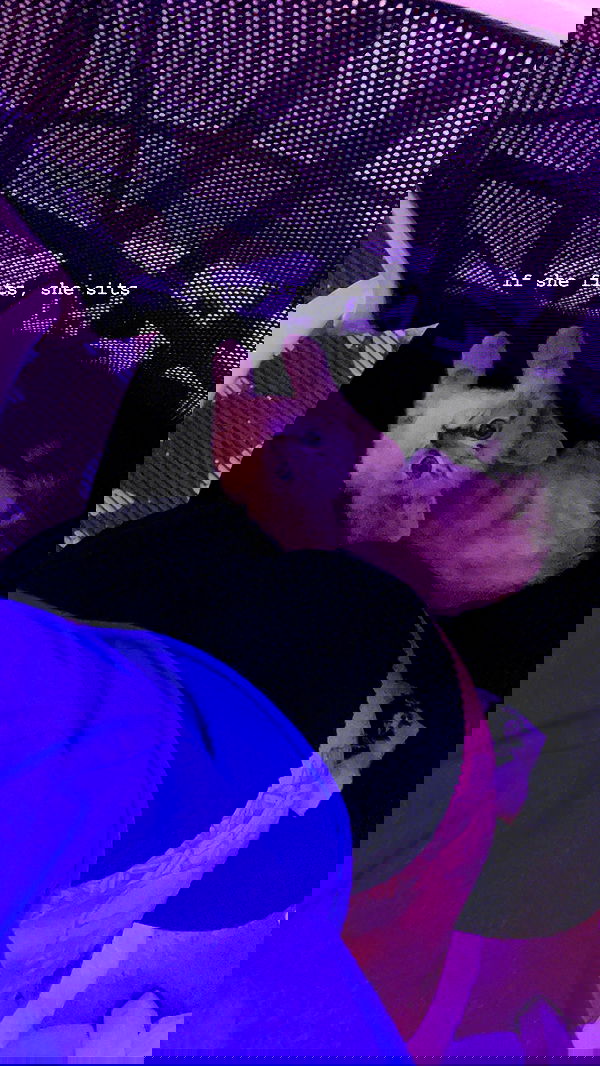 suikomuu suikomuu archive image