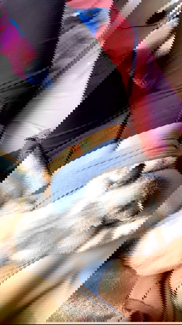 suikomuu suikomuu archive image