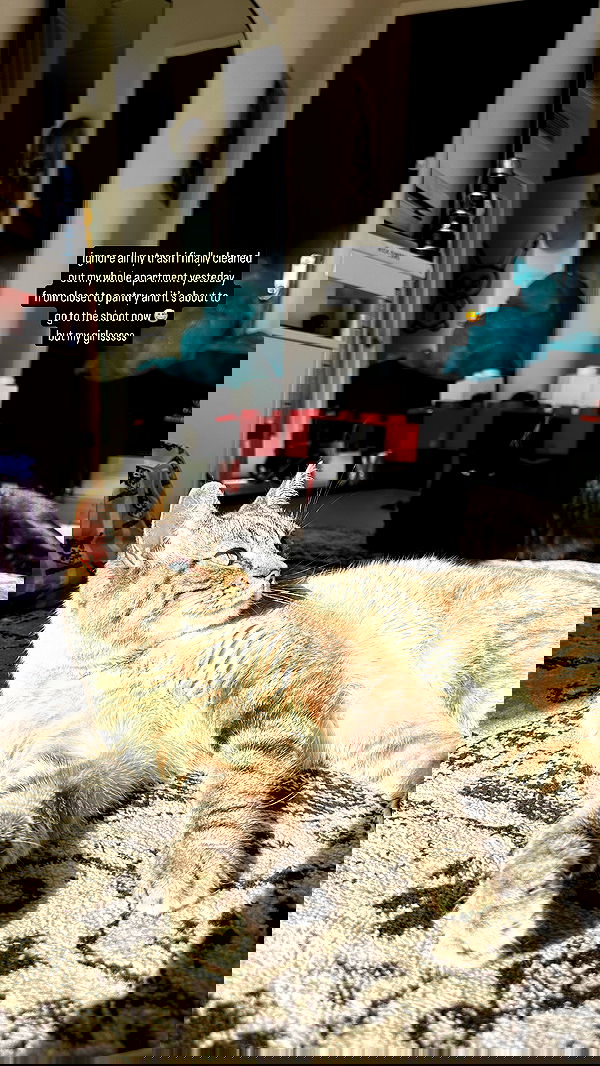 suikomuu suikomuu archive image