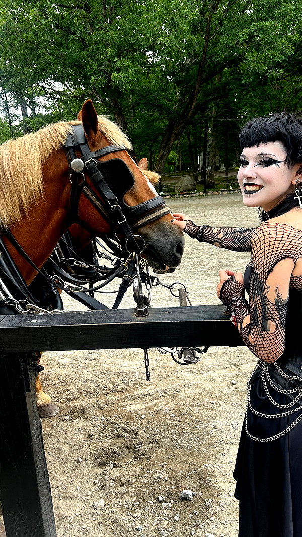 sweetheartsrevenge sweetheartsrevenge archive image