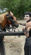 sweetheartsrevenge Altpins Profile Picture