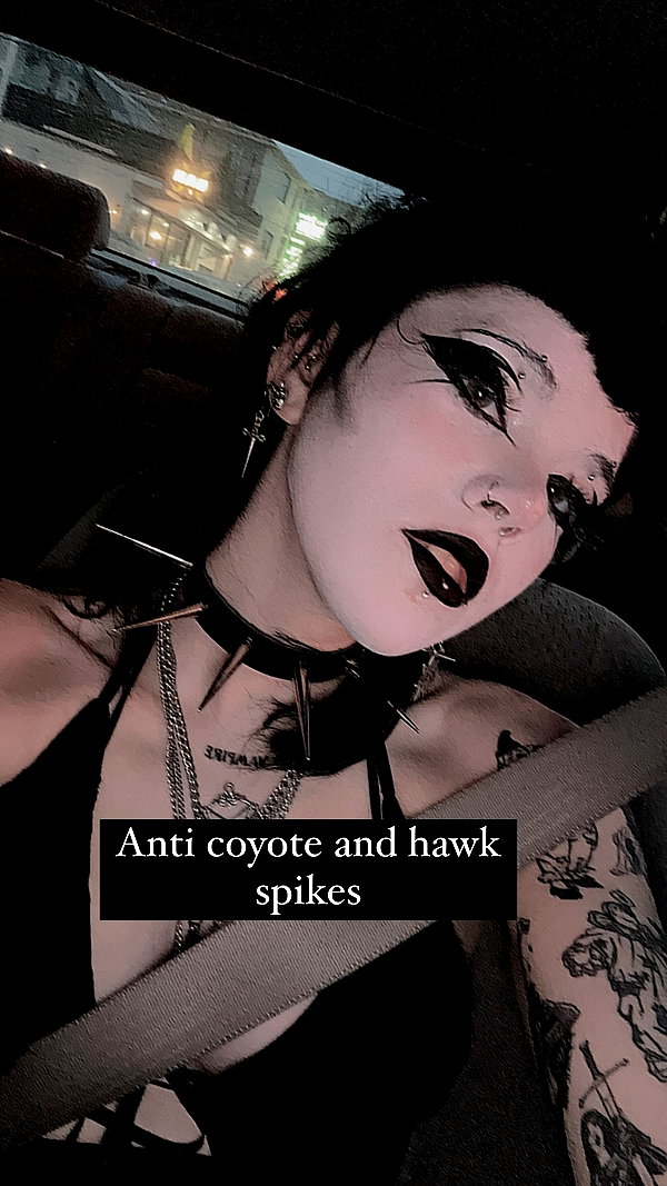 sweetheartsrevenge sweetheartsrevenge archive image