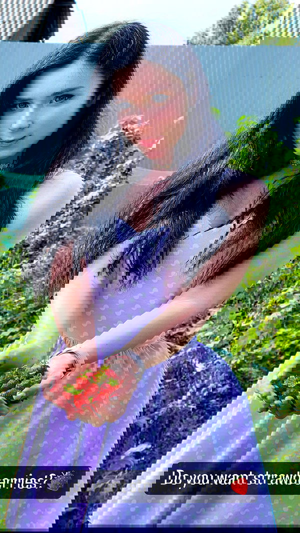 swfx_real swfx_real archive image