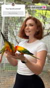 swfx_real Altpins Profile Picture