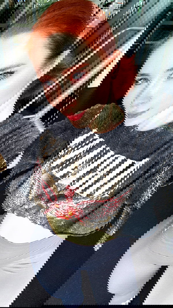 swfx_real swfx_real archive image