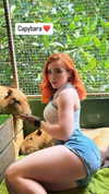 swfx_real Altpins Profile Picture
