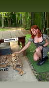 swfx_real Altpins Profile Picture