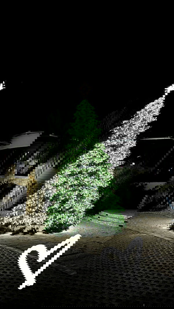 sydney_sweeney image ~ Altpins