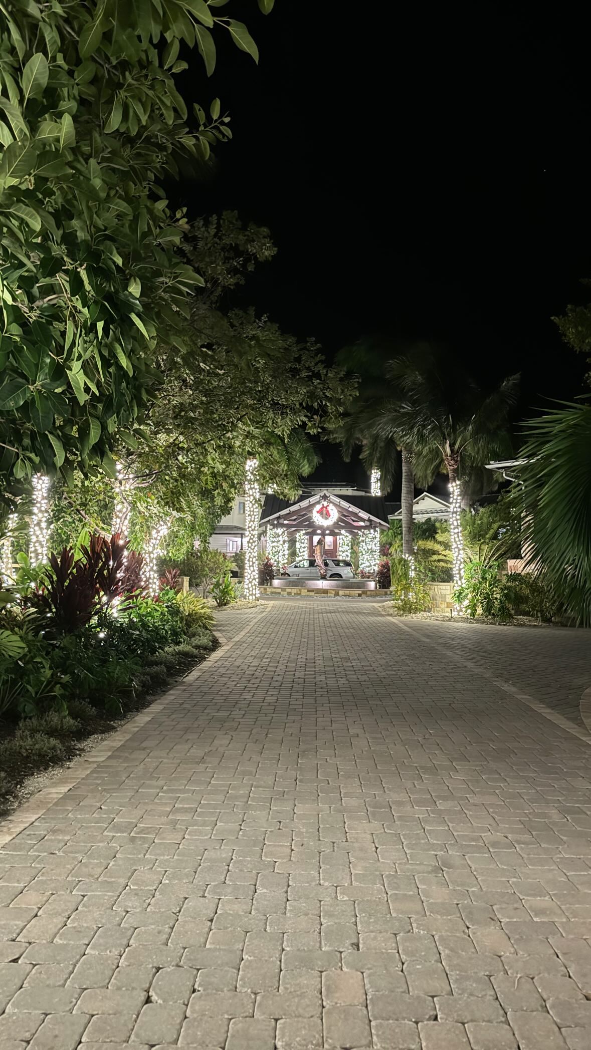 sydney_sweeney instagram image archive image